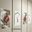 금손농장 | 동탄 백일상 후기 / 금손명가, 오르케이크, 사계절의 봄