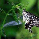 오륙하우스 이미지