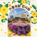 서구청 옥상생태공원 이미지