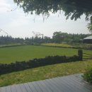 포도호텔 이미지