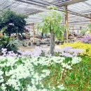 대월 주유소 이미지