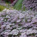 장평면사무소 이미지