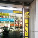 퍼피아일랜드 이미지