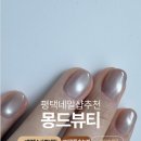 네일몽드