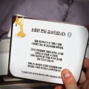 코애니 | [코애니] 반려 키트/와디즈/강아지모발검사/털 분석 서비스/택배 후기🐶