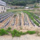 연수동사무소 이미지