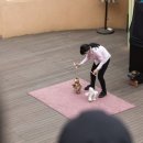 시를 쓰는 오리 이미지