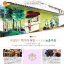 새봄여행
