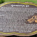 죽림서정이네 네이버블로그