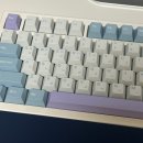 씽크웨이 키보드 VGN 99배열 (독거미 키보드랑 비교 구매 내돈내산 후기)