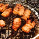 국민돼지 이미지