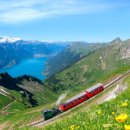 브리엔츠 이미지