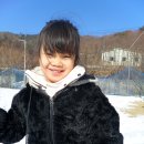 진우농장 | 미친존재감 &#34;펠토브&#34; 간단사용기 및 진우네농장후기