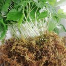 태연농장 이미지