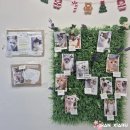 홍시약국 | 2025년 1월 5주차 | 꽁시면관, 스카이캣카페, 위글위글타운, 보령약국, 부촌육회, 아마츄어작업실, 설날