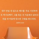 디자인 단비