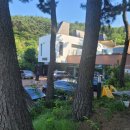 주식회사 우즈베이커리포레스트 | 자연 속 넓은공간 우즈베이커리 빵집 대형카페 경산포레스트점 방문 후기
