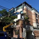 강남-244 이미지