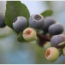 성진환경 이미지