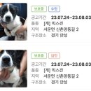 이성준동물병원 이미지