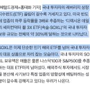 반도체 3배 레버리지 속슬SOXL의 30%를 한국인이 보유하고 있다 🇰🇷 이미지