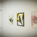 더 리얼 피티 이미지