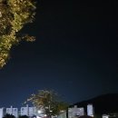 (재)성산공원 네이버블로그