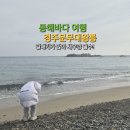 왕릉갈매기 | 동쪽바다여행 경주문무대왕릉 : 아이와 방문후기, 주변 함께 볼거리