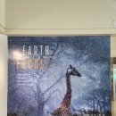 생활체육공원로 | 금정문화회관 금샘미술관 <<지구 앞에 서다_위태로운 경계에서>>도슨트투어 후기