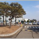 당근경매장