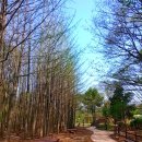 북한산 캠핑장 이미지