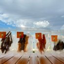 히피(HEEPY) 이미지