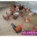 방골농장 이미지