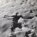 시나몬펜션 이미지