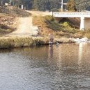 그랑둘이펜션 | 괴산펜션 그랑둘이펜션 가족룸D 수선화에서 기분좋게 보내고 온 후기