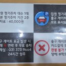 위대한탄생여성의원 이미지