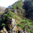 내연산 향로봉, 화사한 고향의 봄 이미지
