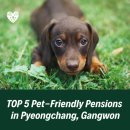 금당계곡 펜션 | 강원도 평창군 애견동반 풀빌라/펜션 BEST 5, 댕댕이와 인생샷 건지러 떠나볼까?