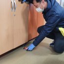 늘푸른 어르신사랑방 이미지