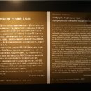 서예(본관) 이미지