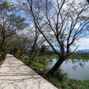 가락생태공원(2) 이미지