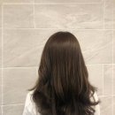 참 미용실 이미지