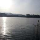 송지고등학교 이미지