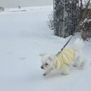 브이라이프영상의학과의원 이미지