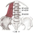 월간 클리어 06년 10월호" 연재 (連載) 글 요방형근관리 이미지