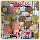 [달콤공작소] 알록달록 귀여운 거북이 쿠키 만들기! - 원데이클래스 후기