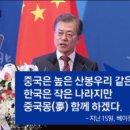 칭따오 탕후루 네이버블로그