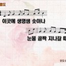 꽃들도 - 칠곡군 자조1길 9-18 | 꽃들도
