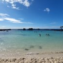 케이비치 이미지