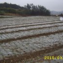 태광농장 이미지